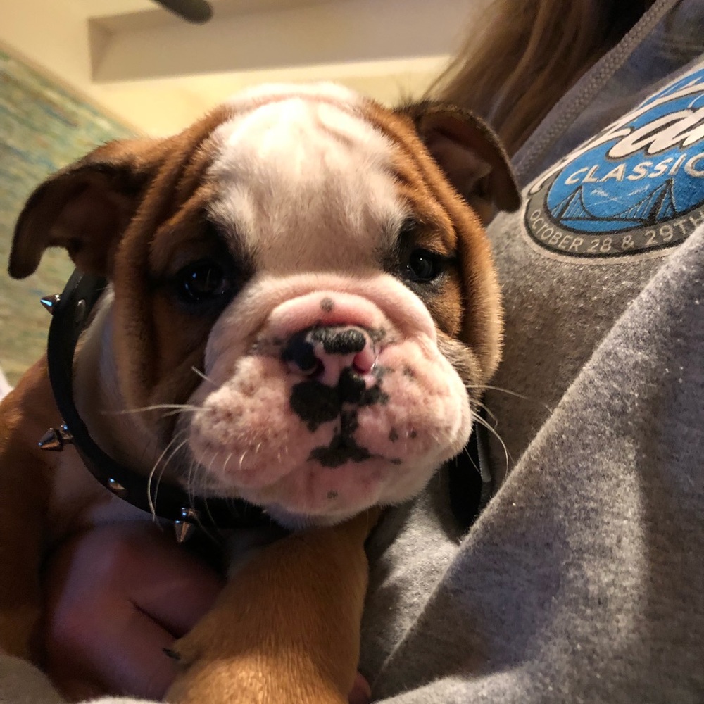 Meet your Posher, Drew